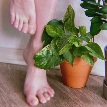 ravenperfecttoes OnlyFans picture