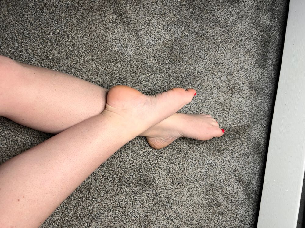 petits_cochons_ooolala OnlyFans profile picture