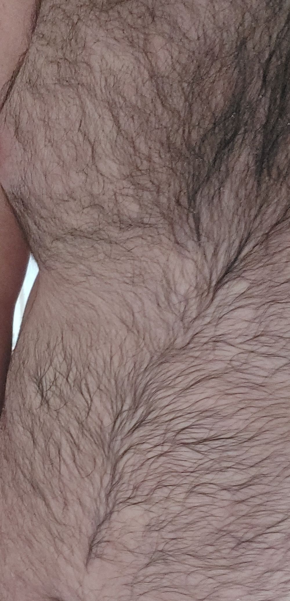 hairychubbyscotsman OnlyFans profile picture