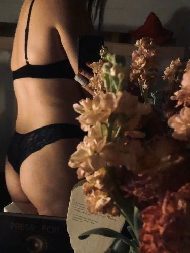 honey_balaclava OnlyFans profile picture