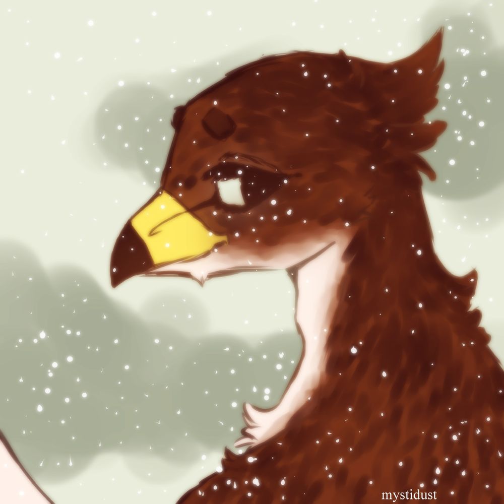 onlyhawks OnlyFans profile picture