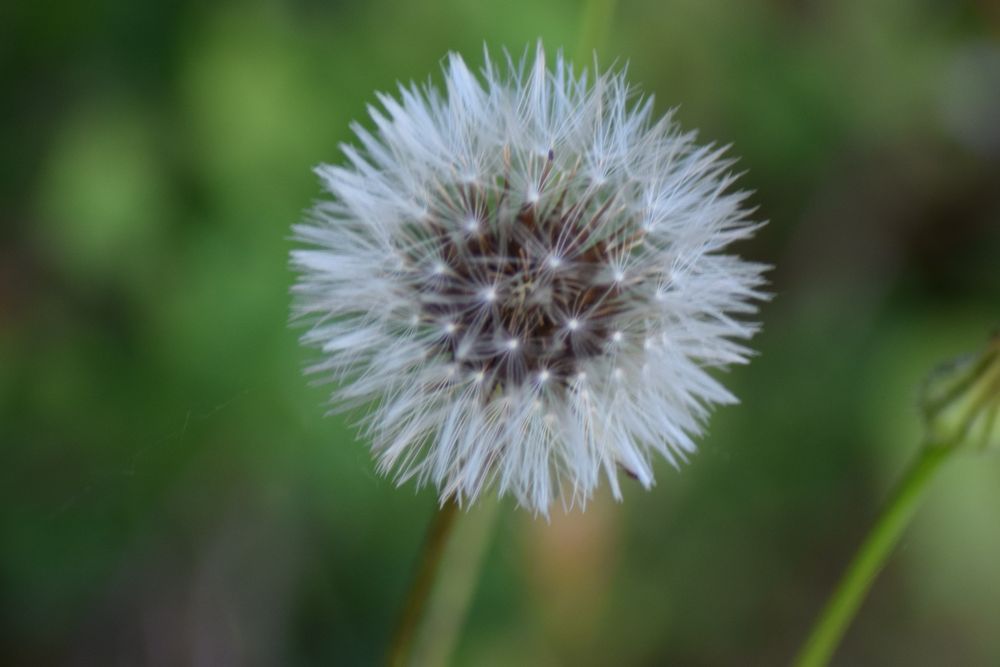 nature-desire OnlyFans profile picture
