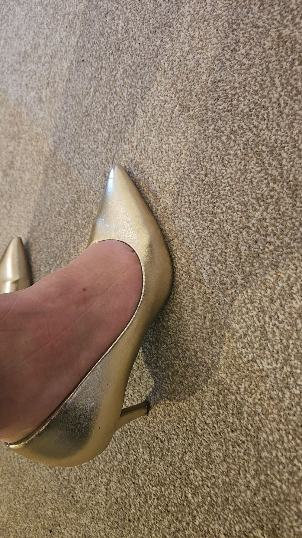 u410115898 OnlyFans profile picture