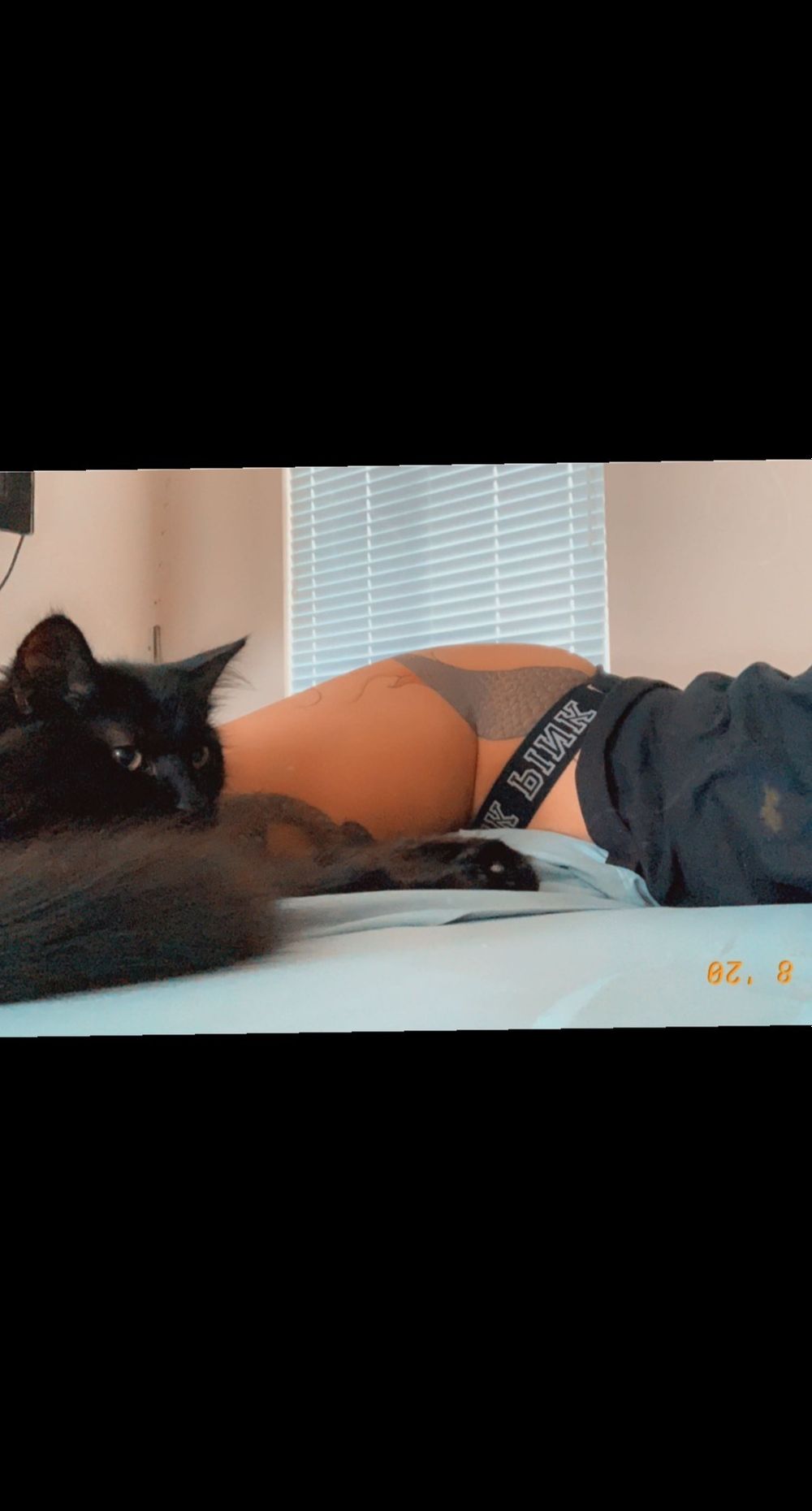 catttqueeen OnlyFans profile picture