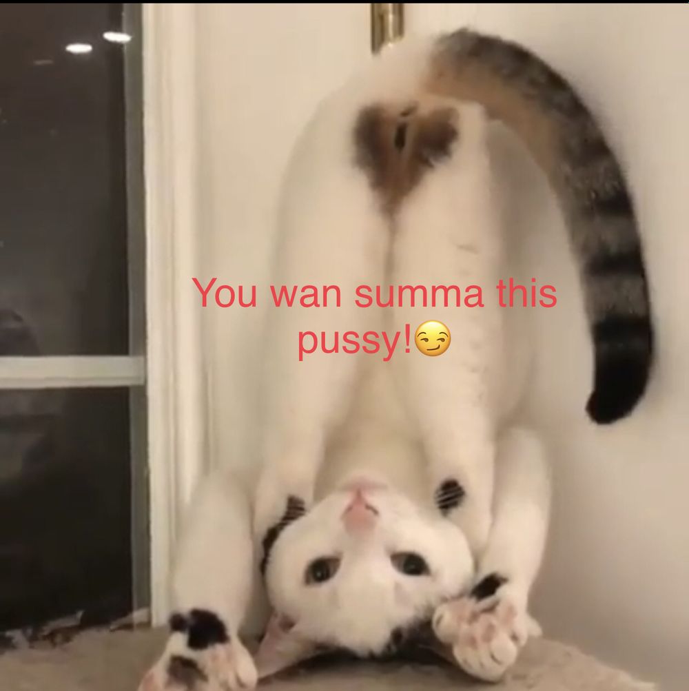 camedin2 OnlyFans profile picture