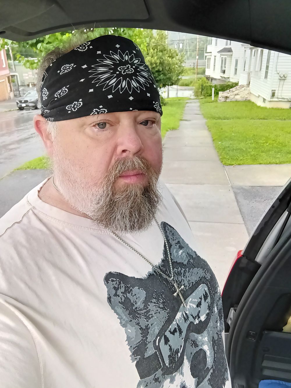 cushyteddybear OnlyFans profile picture