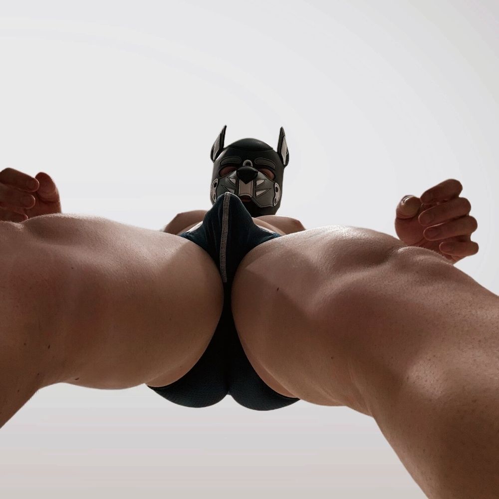 thepuppolo OnlyFans profile picture