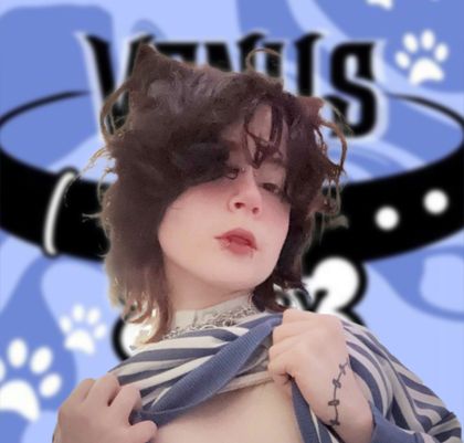 puppyyvenus OnlyFans picture