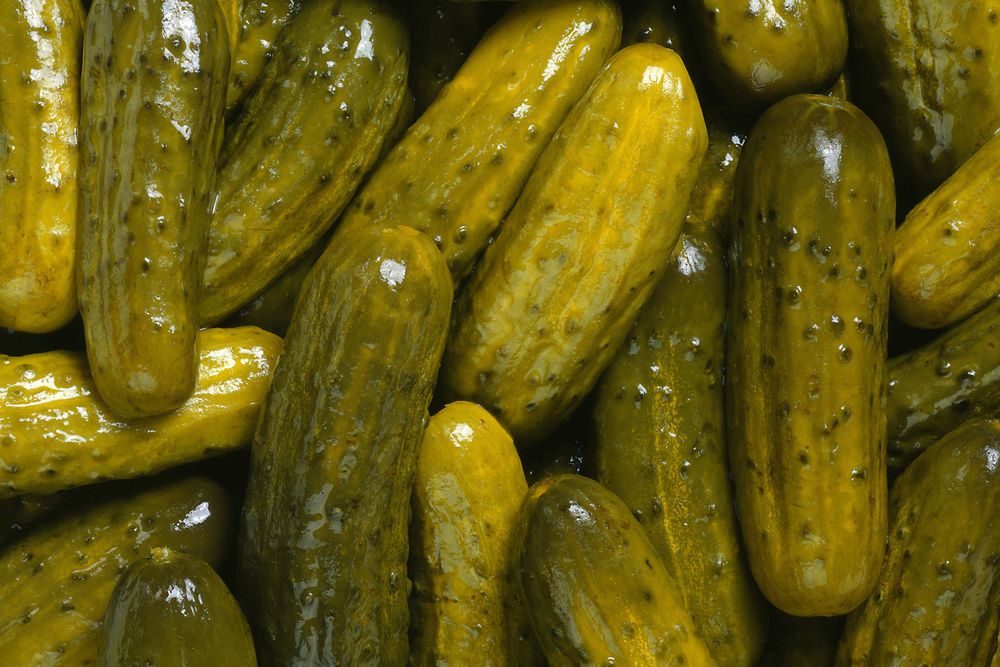 sourpickles OnlyFans profile picture