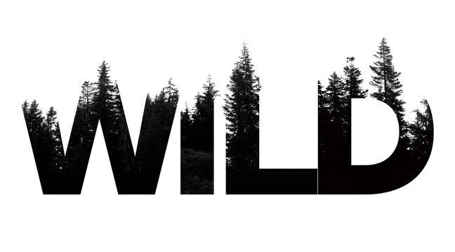 youmakemewild7 OnlyFans profile picture