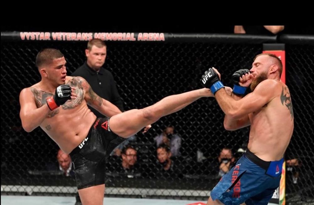 anthonypettis OnlyFans profile picture