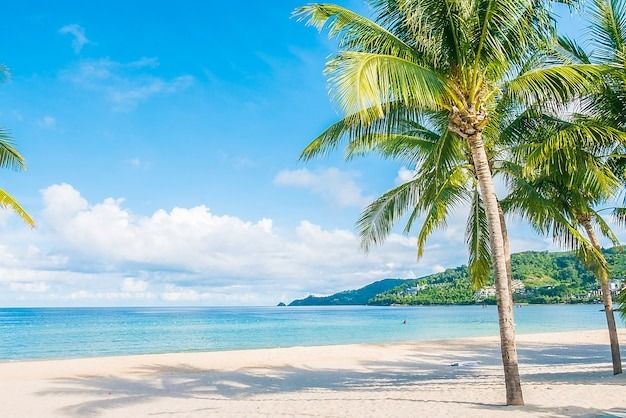 thecolossus11 OnlyFans profile picture
