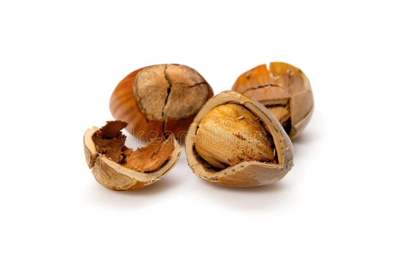 mrbusdaknut OnlyFans profile picture