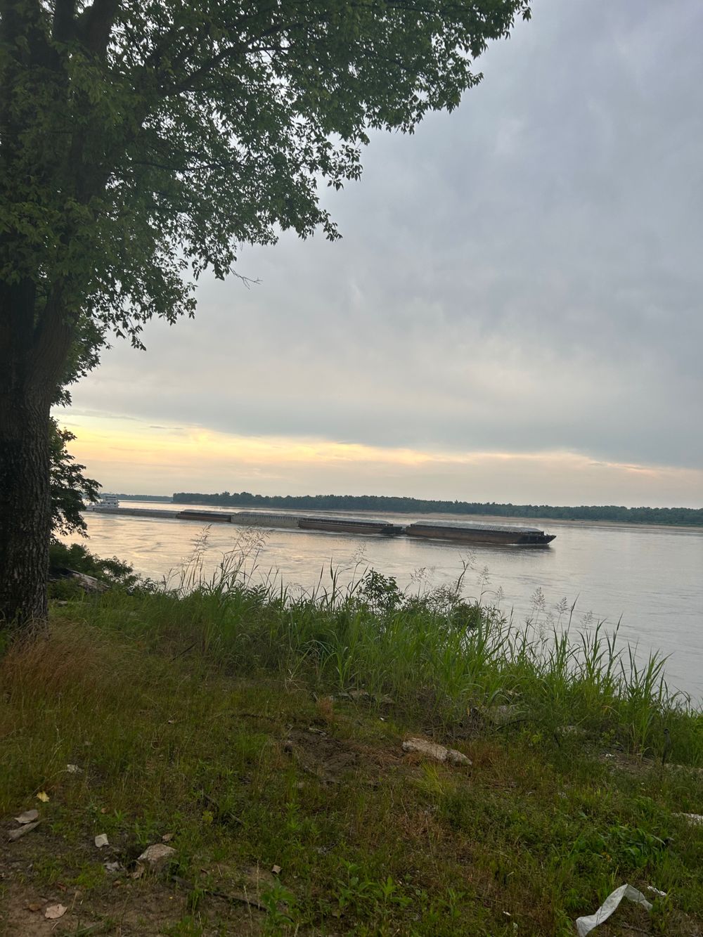 mollymiranda OnlyFans - Free Trial - Photos - Socials | FansMetrics.com