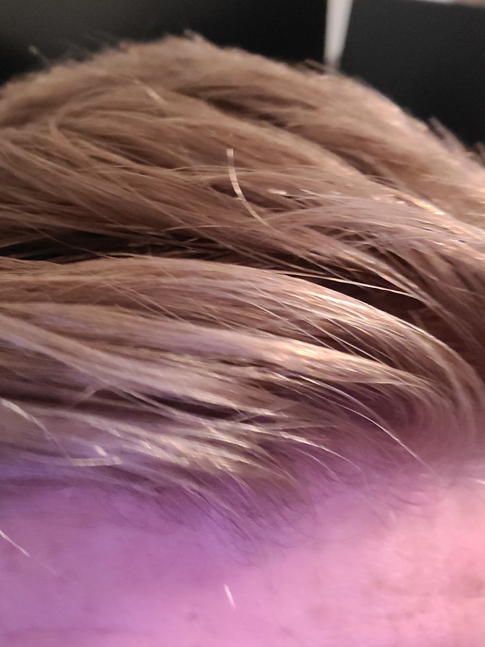 u4273098 OnlyFans profile picture