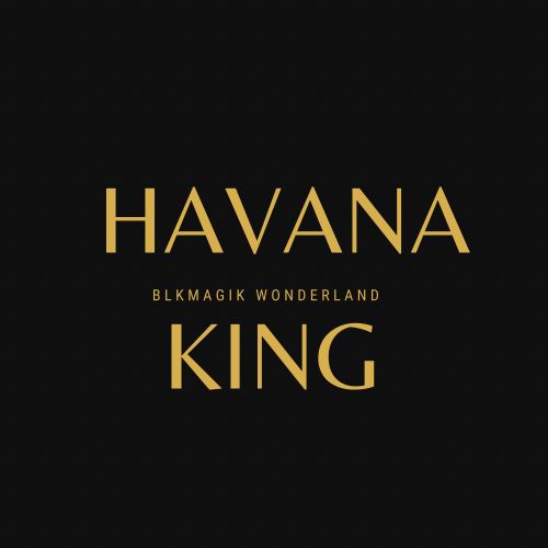 havanakng OnlyFans profile picture
