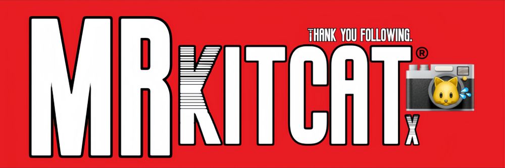 mrkitcatx OnlyFans profile picture