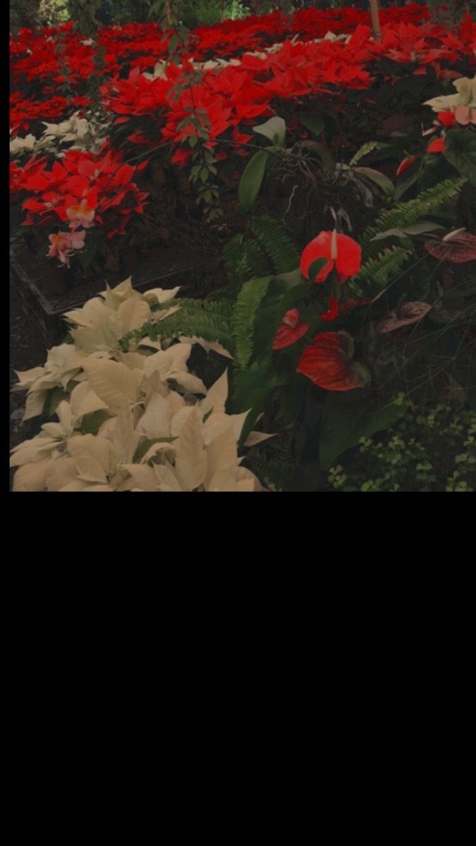 u245629318 OnlyFans profile picture