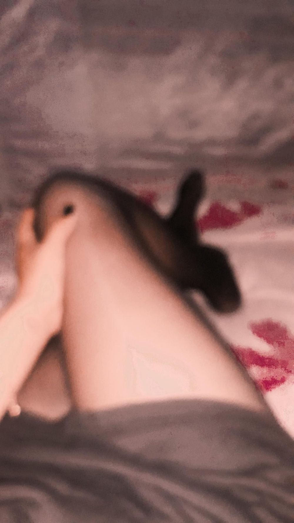 colorada320 OnlyFans profile picture