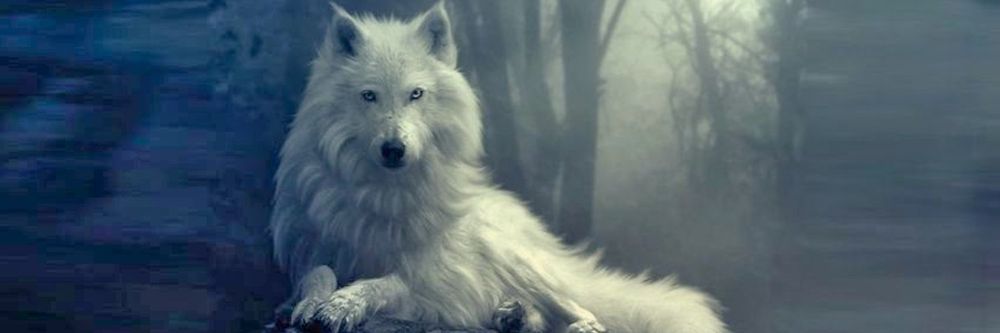 silverwolfess OnlyFans profile picture