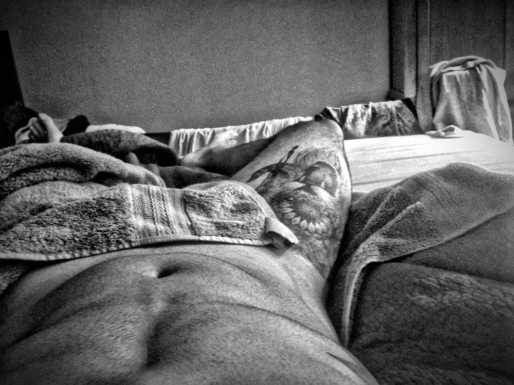 themotorcycleguy OnlyFans profile picture