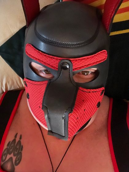 revandireito OnlyFans picture