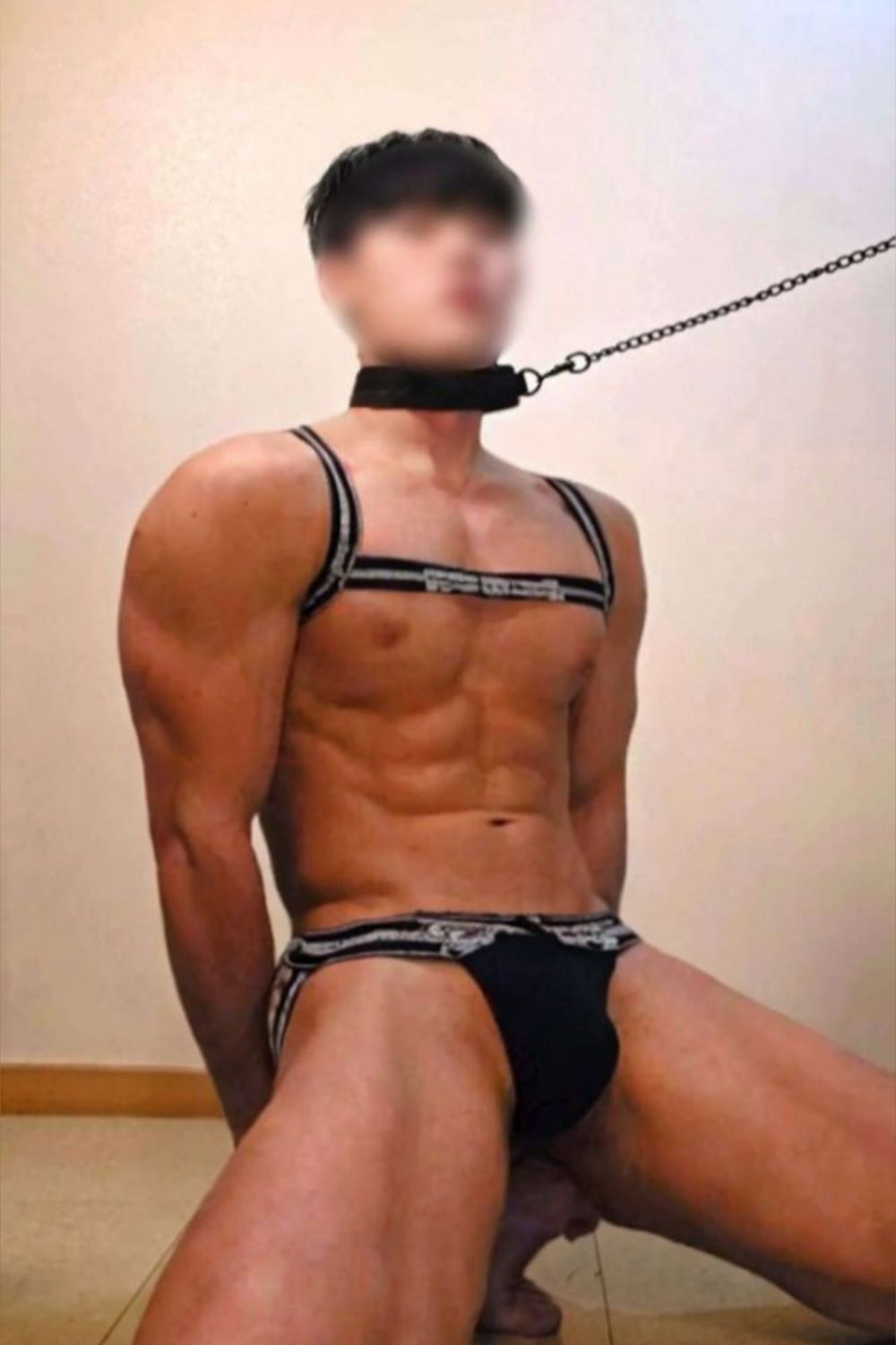 dino_dino222 OnlyFans profile picture