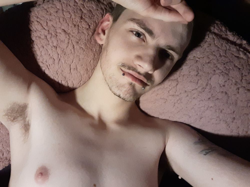 mealzonwheelz OnlyFans profile picture