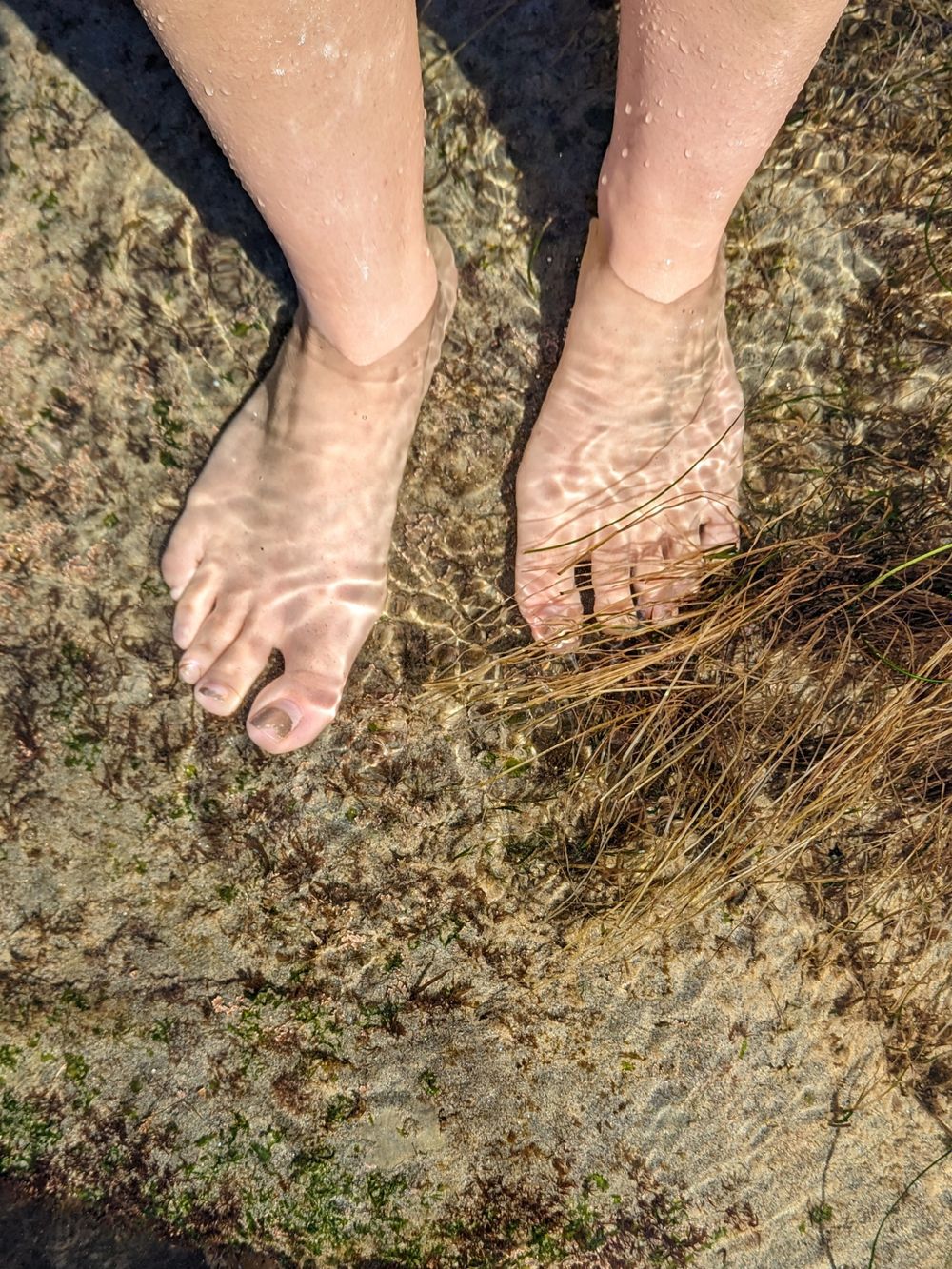 classyfootsies OnlyFans profile picture