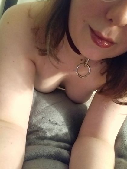 domnevixen OnlyFans picture
