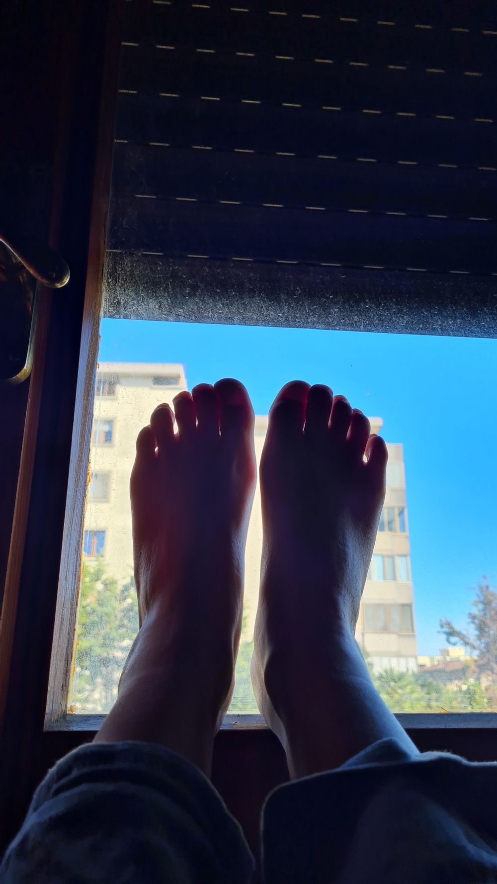 ladybluerose2 OnlyFans profile picture