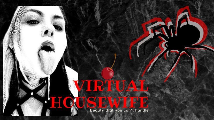 virtualhousewife OnlyFans profile picture