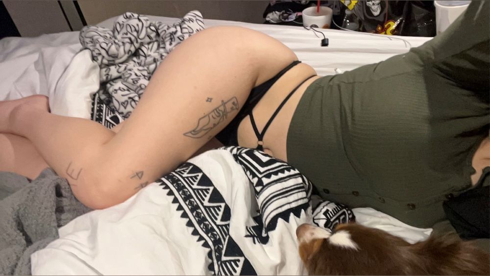 everybodylovesvixen OnlyFans profile picture