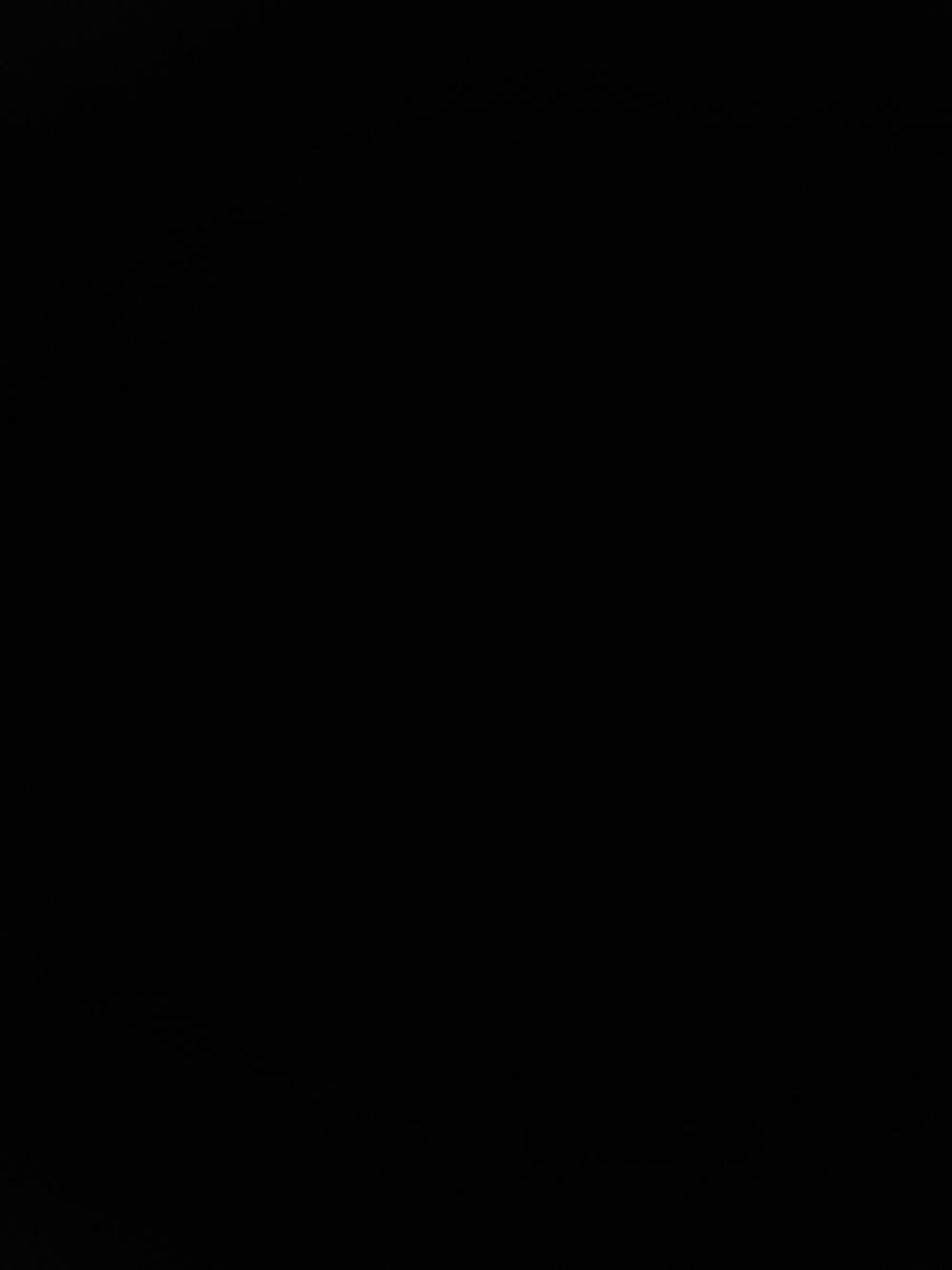 taychelle OnlyFans profile picture