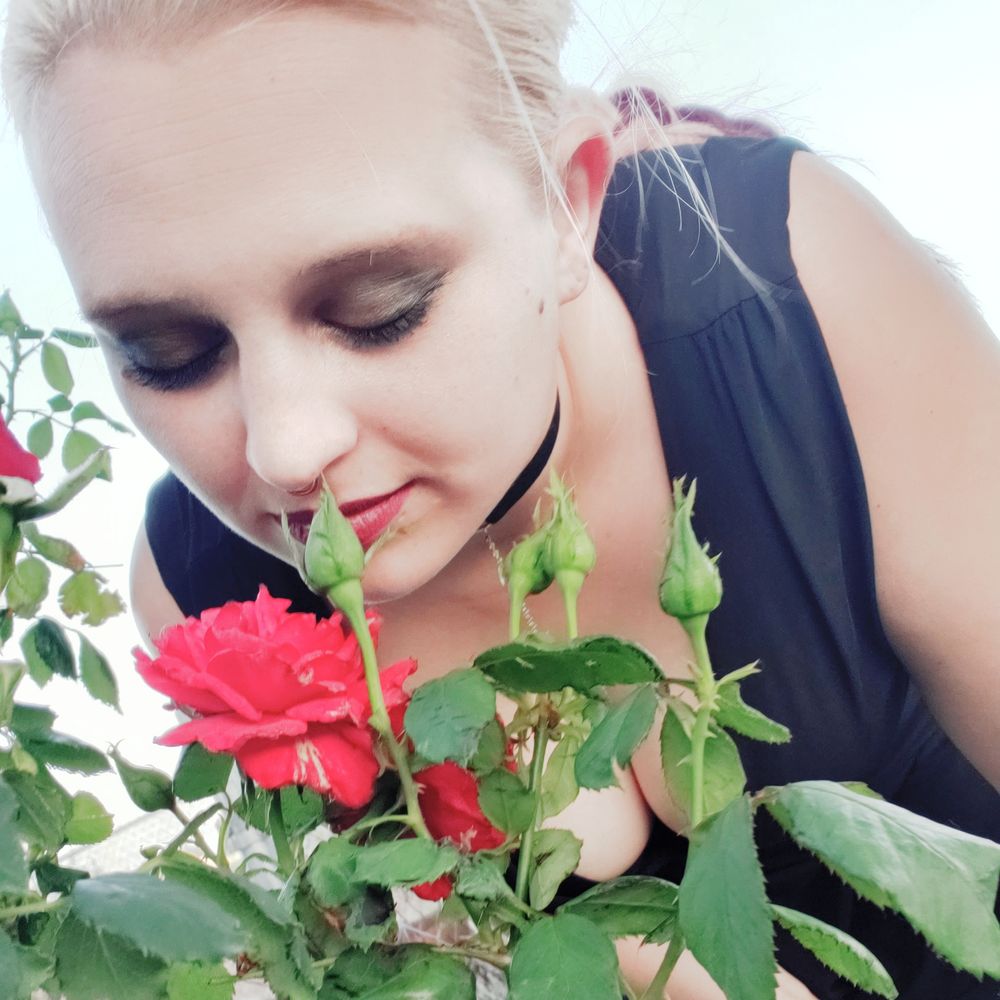 sillyhippie32 OnlyFans profile picture