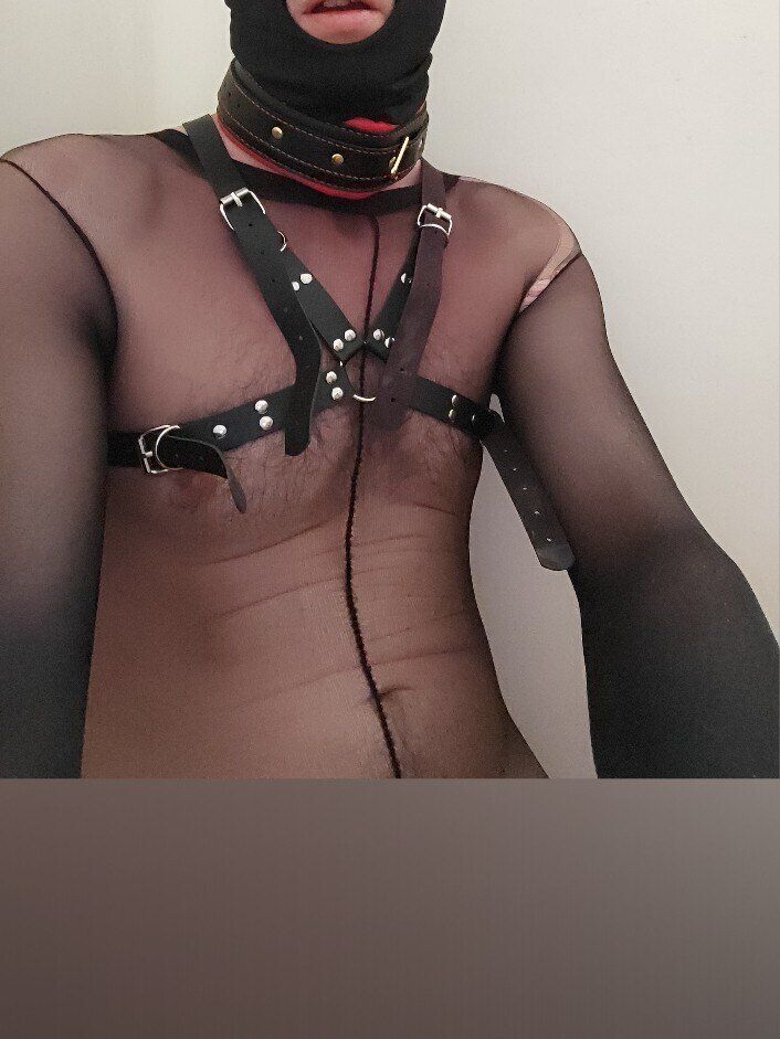 sdf2030 OnlyFans profile picture