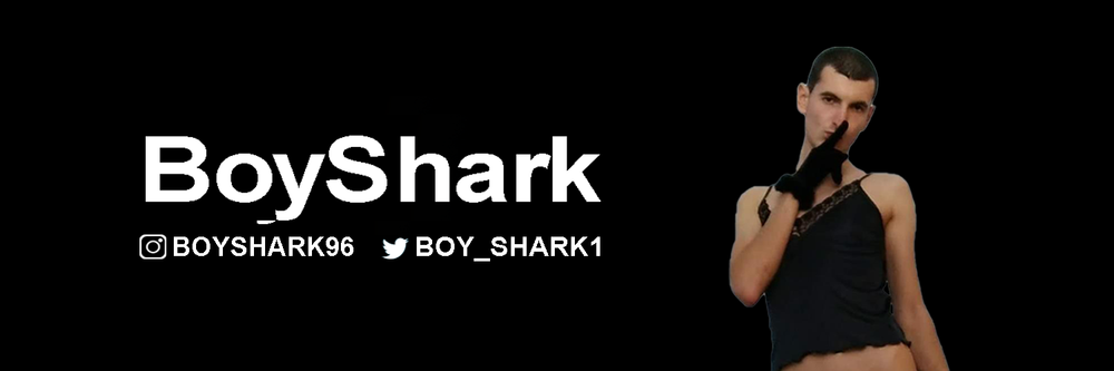 boyshark OnlyFans profile picture