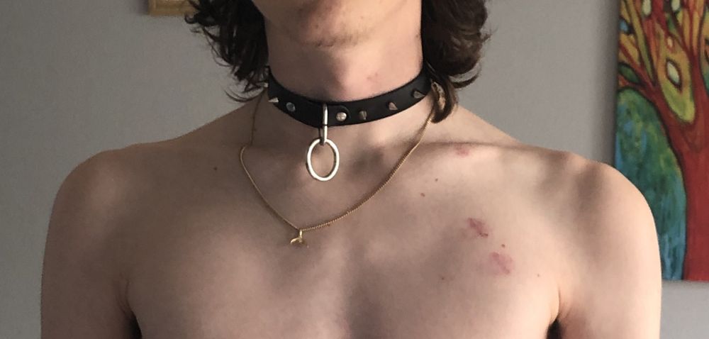 sharkyevno OnlyFans profile picture