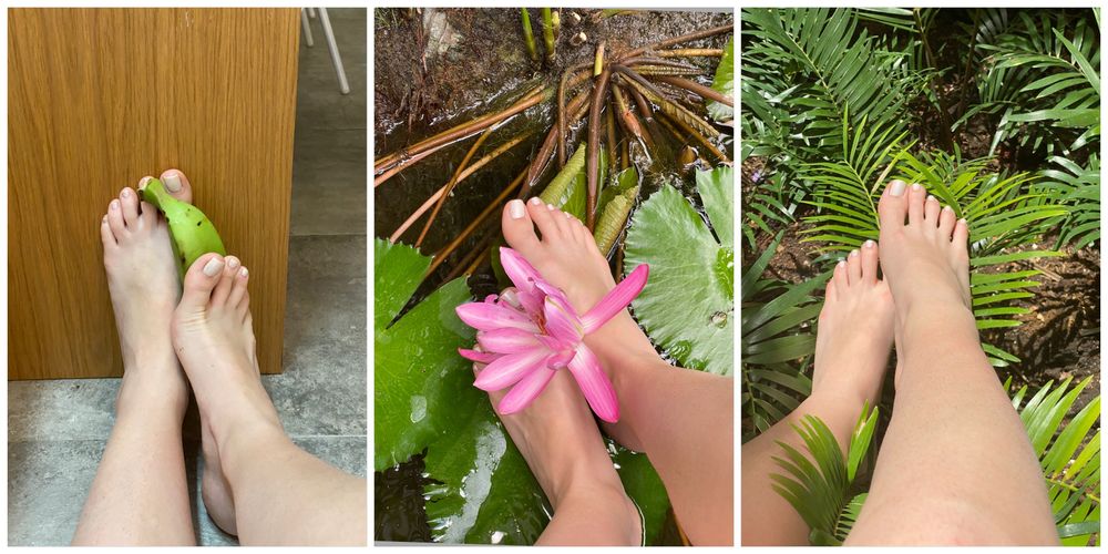 sweetestfeetxx OnlyFans profile picture