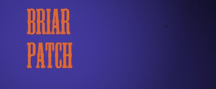 briarxpatch OnlyFans - Stats, Graphs, Photos & Profile Comparisons