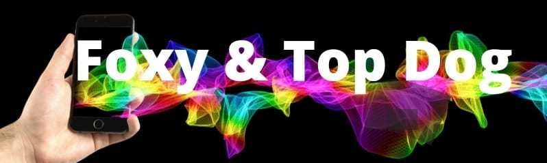 foxytopdog OnlyFans profile picture