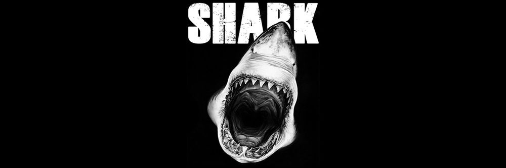 shark_designer OnlyFans profile picture
