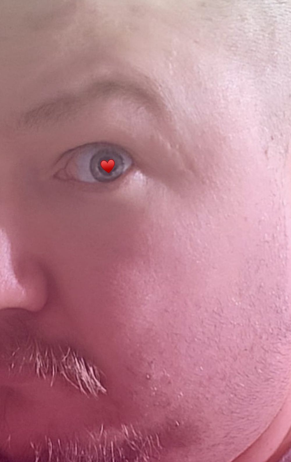 insatiable_king OnlyFans profile picture