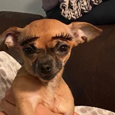 justkenben OnlyFans picture