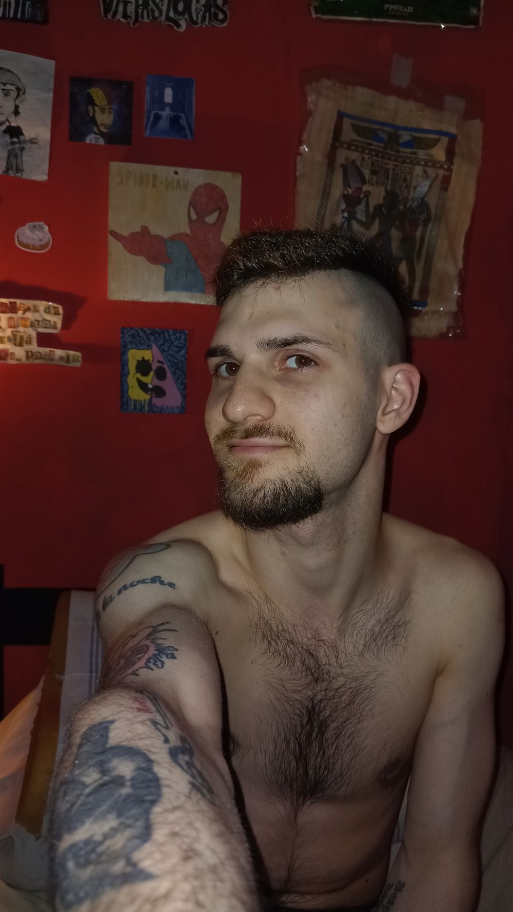 chochory OnlyFans profile picture