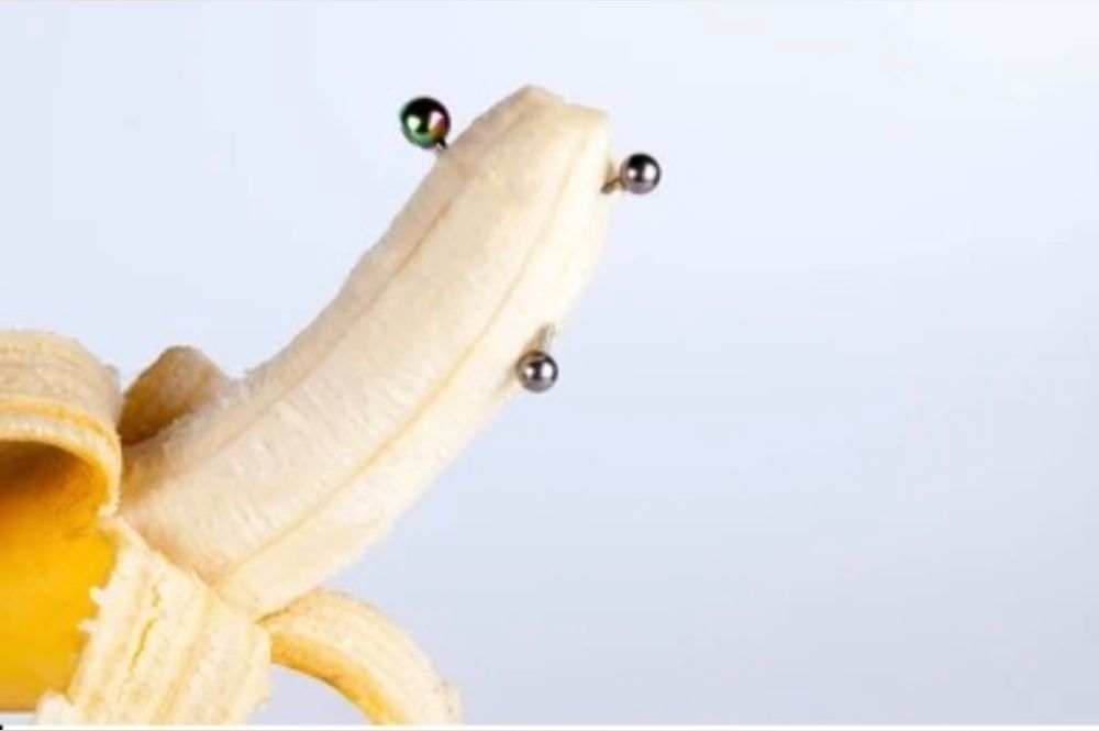 persianpiercedpenis OnlyFans profile picture