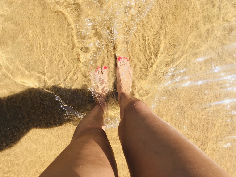 catfelinefeet OnlyFans profile picture