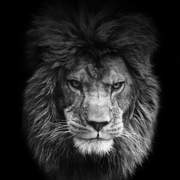mrbigazz OnlyFans profile picture