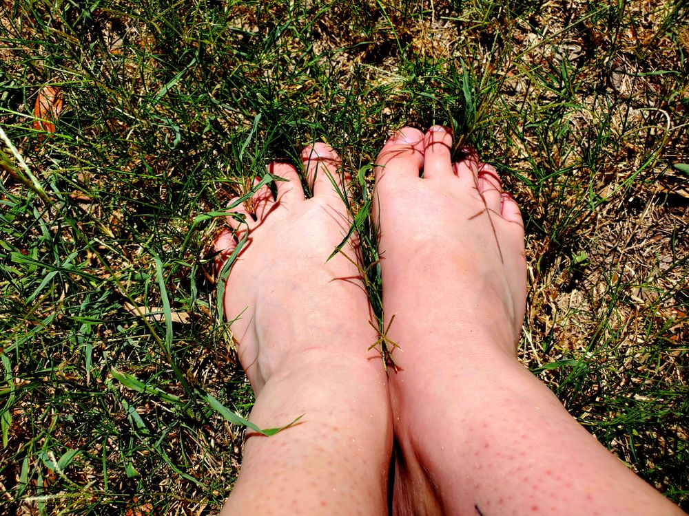 feet4you OnlyFans profile picture