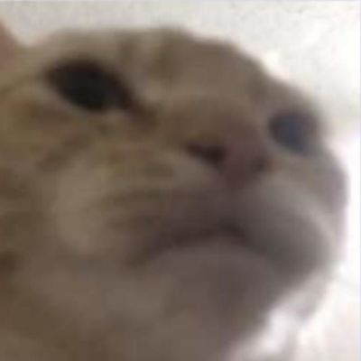 loghunting OnlyFans profile picture